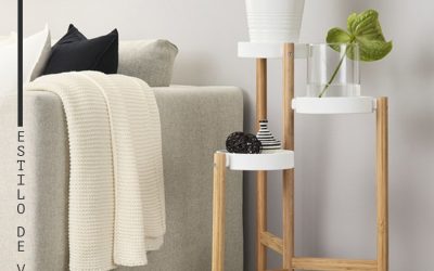 Ideas para decorar tu casa con plantas de interior