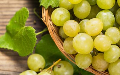 Beneficios y propiedades de las Uvas