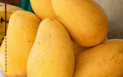 Conoce el curioso origen del mango Ataulfo